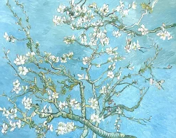 Outlet Amandier en fleurs - Vincent Van Gogh Van Gogh