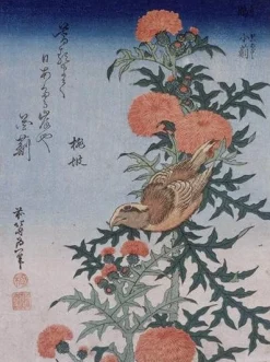 Best Bec-croisé et chardon - Hokusai Hokusai