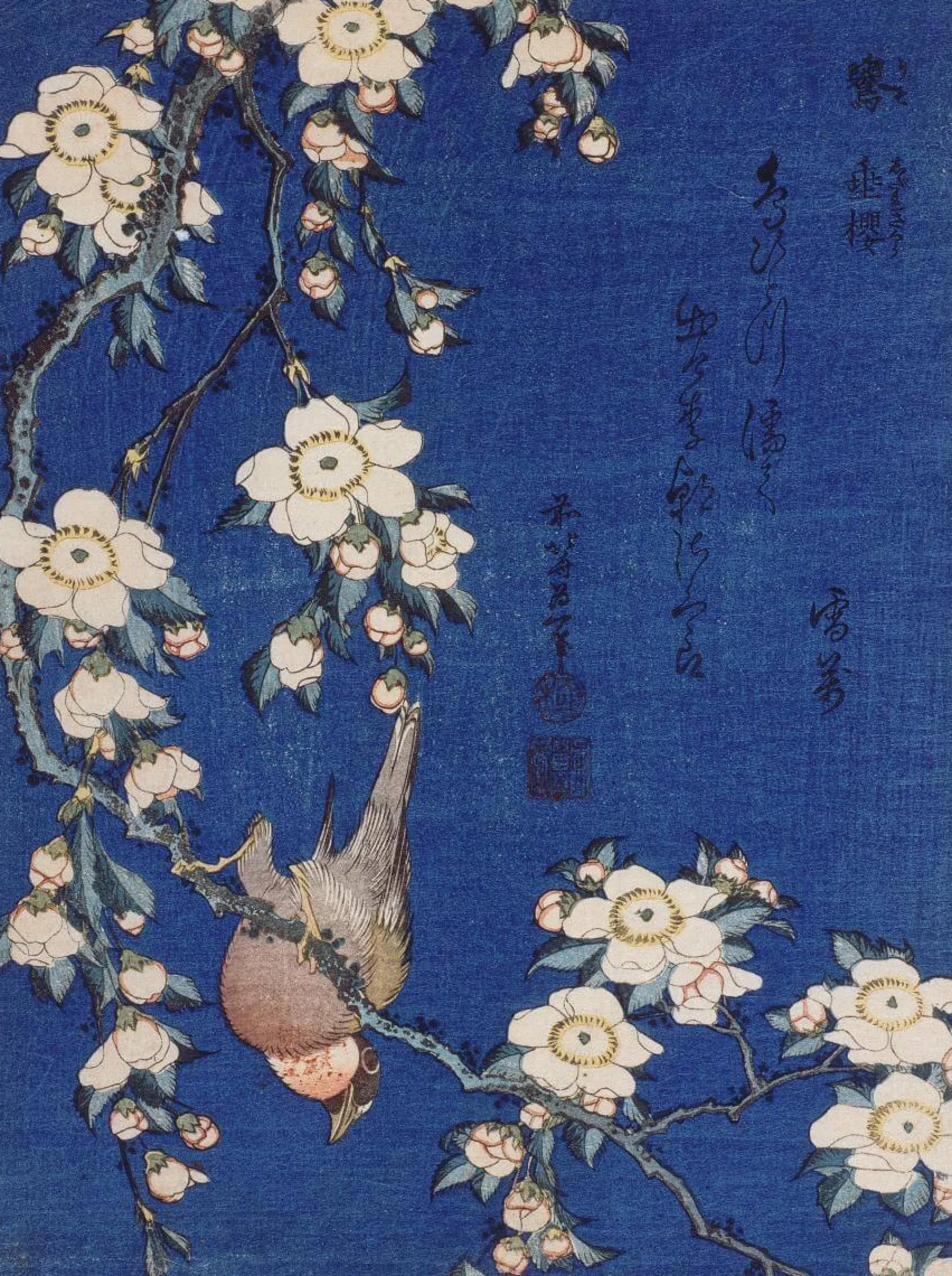 Flash Sale Bouvreuil et cerisier-pleureur - Hokusai Hokusai