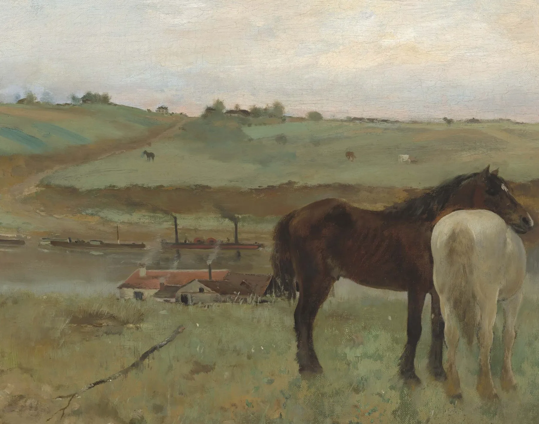 Hot Chevaux dans une prairie - Edgar Degas Degas