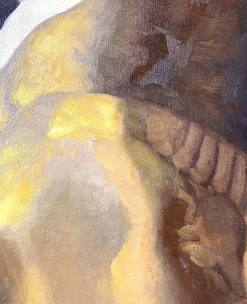 New La Jeune Fille à la perle - Johannes Vermeer Vermeer