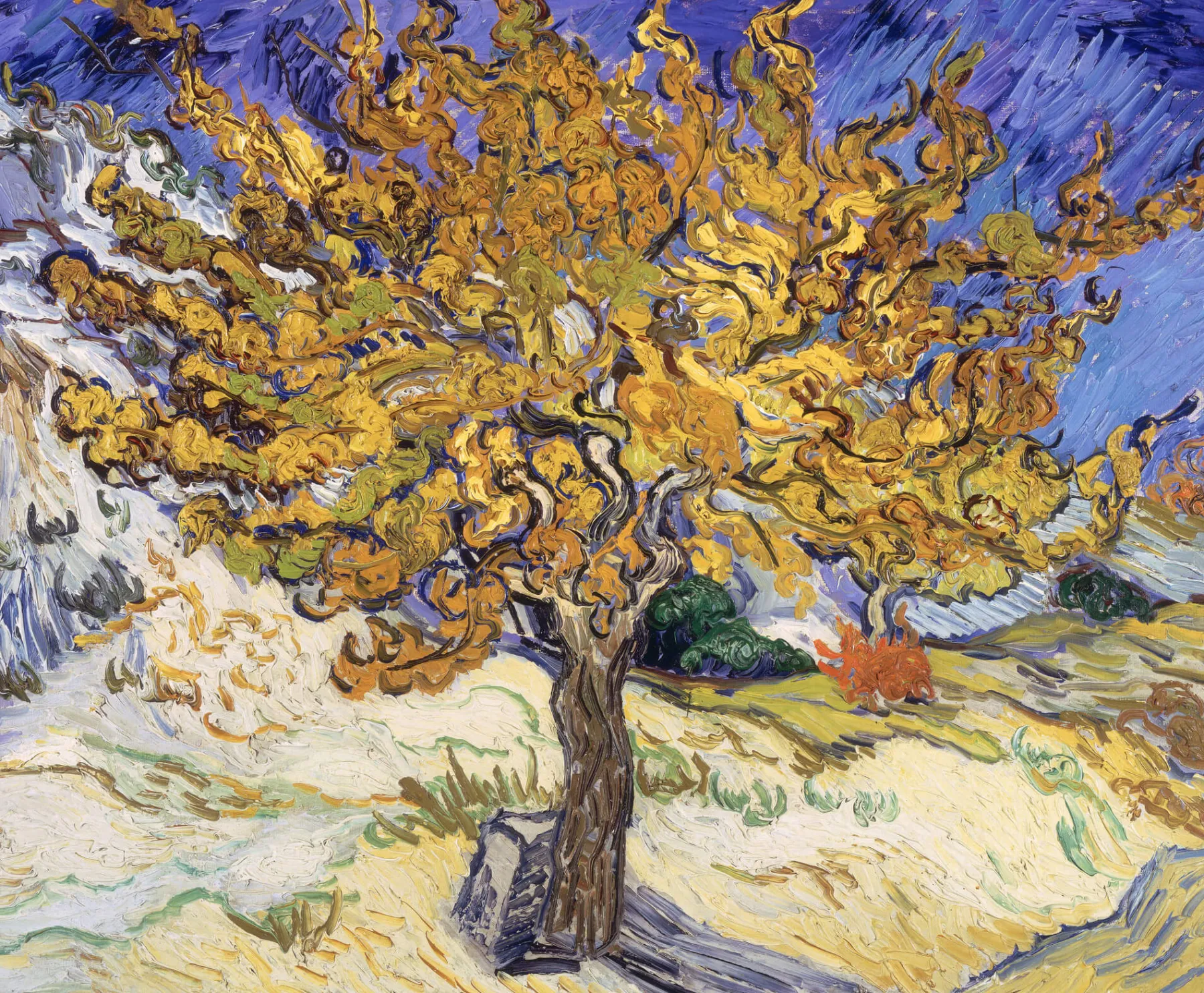 Fashion Le Mûrier - Vincent Van Gogh Van Gogh
