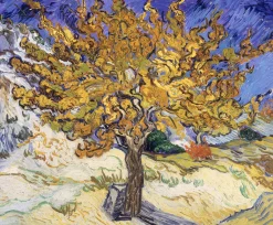 Fashion Le Mûrier - Vincent Van Gogh Van Gogh