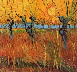 New Saules au soleil couchant - Vincent Van Gogh Van Gogh